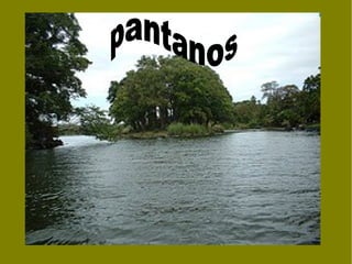 pantanos