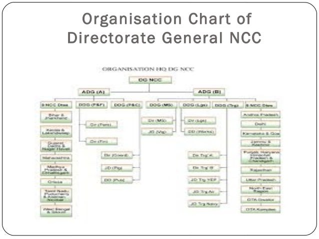 Ncc Organization Chart