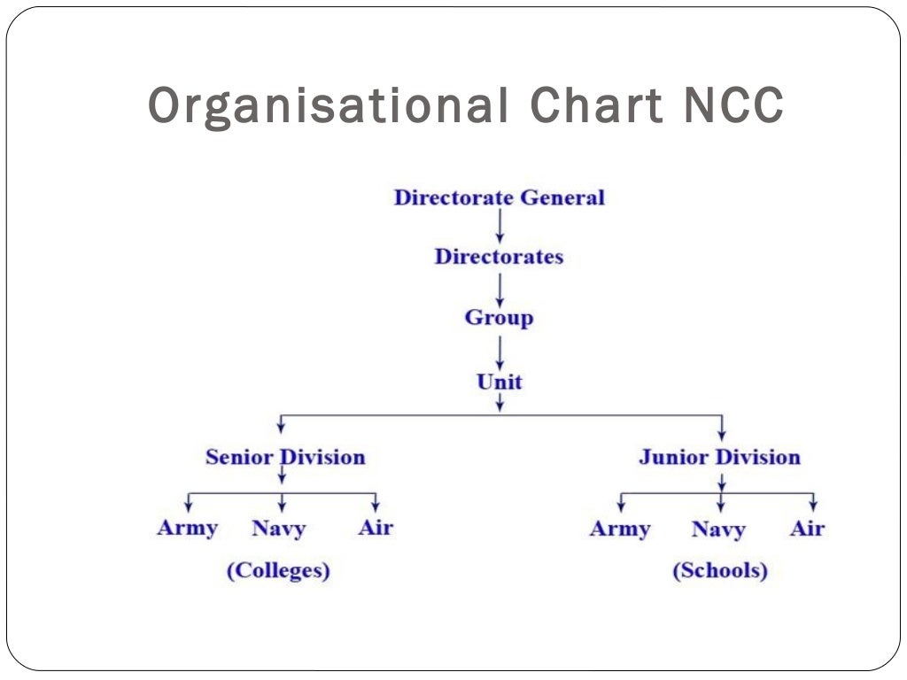 Ncc Organisation Chart