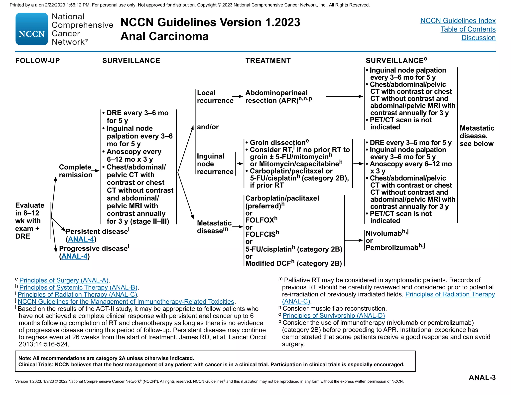 NCCN Guidelines Version 1.2023 CA anus.pdf