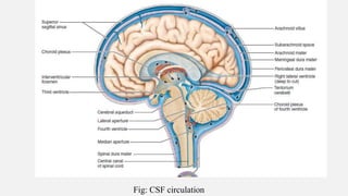 Ncct and cect brain and orbit | PPTX
