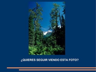 ¿QUIERES SEGUIR VIENDO ESTA FOTO?