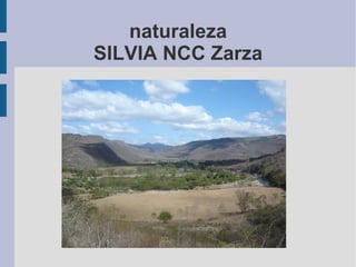 naturaleza SILVIA NCC Zarza 