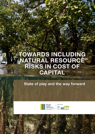 TOWARDS INCLUDING
NATURAL RESOURCE
RISKS IN COST OF
CAPITAL
State of play and the way forward
 