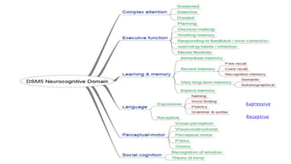Expressive
Receptive
 
