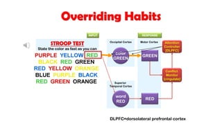 Motor Cortex
Superior
Temporal Cortex
Occipital Cortex
Overriding Habits
STROOP TEST
State the color as fast as you can
color
GREEN
word
RED
RED
GREEN
Conflict
Monitor
[cingulate]
Attention
Controller
[DLPFC]
INPUT RESPONSE
DLPFC=dorsolateral prefrontal cortex
 