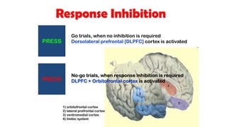 PRESS
PRESS
Go trials, when no inhibition is required
Dorsolateral prefrontal [DLPFC] cortex is activated
No-go trials, when response inhibition is required
DLPFC + Orbitofrontal cortex is activated
1) orbitofrontal cortex
2) lateral prefrontal cortex
3) ventromedial cortex
4) limbic system
Response Inhibition
 