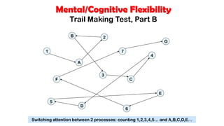 Mental/Cognitive Flexibility
Trail Making Test, Part B
1
2
3
4
5
6
7
A
B
C
D
E
F
G
Switching attention between 2 processes: counting 1,2,3,4,5… and A,B,C,D,E…
 