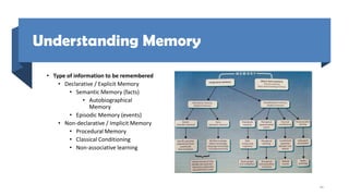 Understanding Memory
• Type of information to be remembered
• Declarative / Explicit Memory
• Semantic Memory (facts)
• Autobiographical
Memory
• Episodic Memory (events)
• Non-declarative / Implicit Memory
• Procedural Memory
• Classical Conditioning
• Non-associative learning
46
 