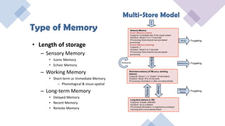 • Length of storage
– Sensory Memory
• Iconic Memory
• Echoic Memory
– Working Memory
• Short-term or Immediate Memory
– Phonological & visuo-spatial
– Long-term Memory
• Delayed Memory
• Recent Memory
• Remote Memory
 