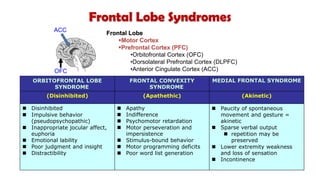 ORBITOFRONTAL LOBE
SYNDROME
FRONTAL CONVEXITY
SYNDROME
MEDIAL FRONTAL SYNDROME
(Disinhibited) (Apathethic) (Akinetic)
◼ Disinhibited
◼ Impulsive behavior
(pseudopsychopathic)
◼ Inappropriate jocular affect,
euphoria
◼ Emotional lability
◼ Poor judgment and insight
◼ Distractibility
◼ Apathy
◼ Indifference
◼ Psychomotor retardation
◼ Motor perseveration and
impersistence
◼ Stimulus-bound behavior
◼ Motor programming deficits
◼ Poor word list generation
◼ Paucity of spontaneous
movement and gesture =
akinetic
◼ Sparse verbal output
◼ repetition may be
preserved
◼ Lower extremity weakness
and loss of sensation
◼ Incontinence
Frontal Lobe Syndromes
OFC
ACC
Frontal Lobe
▪Motor Cortex
▪Prefrontal Cortex (PFC)
•Orbitofrontal Cortex (OFC)
•Dorsolateral Prefrontal Cortex (DLPFC)
•Anterior Cingulate Cortex (ACC)
 