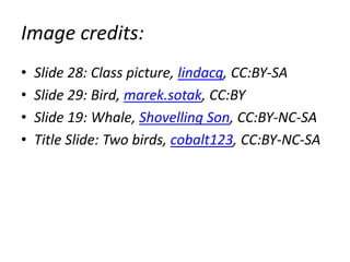 Image credits:
• Slide 28: Class picture, lindacq, CC:BY-SA
• Slide 29: Bird, marek.sotak, CC:BY
• Slide 19: Whale, Shovelling Son, CC:BY-NC-SA
• Title Slide: Two birds, cobalt123, CC:BY-NC-SA
 