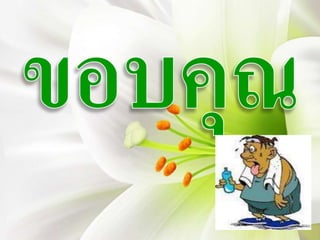 Ncd forum2016แผนการดำเนินงาน ปี 2560
