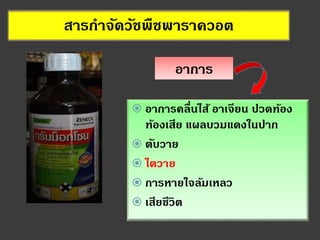 สารกาจัดวัชพืชพาราควอต
อาการ
 อาการคลื่นไส้ อาเจียน ปวดท้อง
ท้องเสีย แผลบวมแดงในปาก
 ตับวาย
 ไตวาย
 การหายใจล้มเหลว
 เสียชีวิต
 