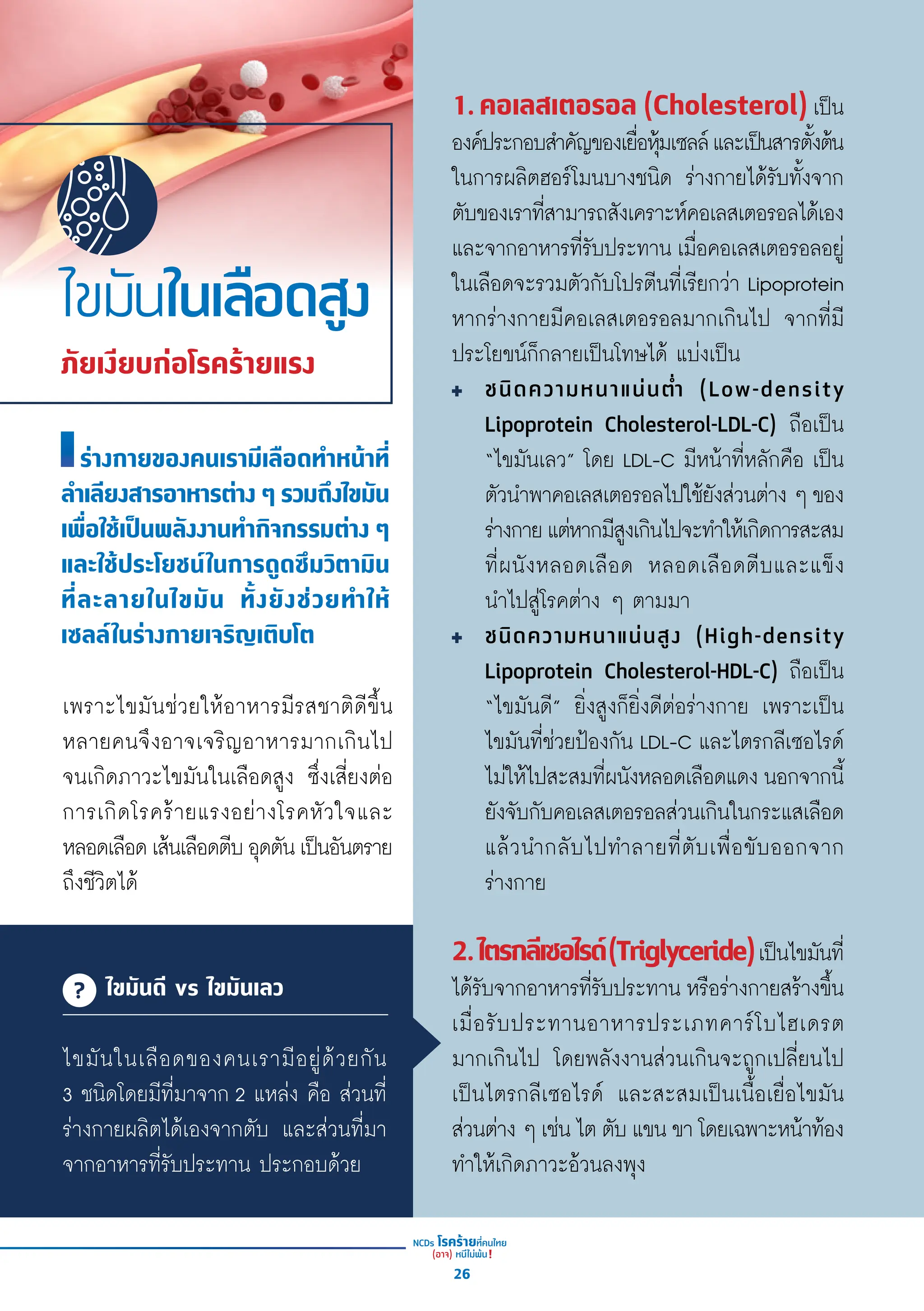 ร่่างกายของคนเรามีีเลืือดทำำ�หน้้าที่่�
ลำำ�เลีียงสารอาหารต่่าง ๆ รวมถึึงไขมััน
เพื่่�อใช้้เป็็นพลัังงานทำำ�กิิจกรรมต่่าง ๆ
และใช้้ประโยชน์์ในการดููดซึึมวิิตามิิน
ที่่�ละลายในไขมััน ทั้้�งยัังช่่วยทำำ�ให้้
เซลล์์ในร่่างกายเจริิญเติิบโต
เพราะไขมัันช่่วยให้้อาหารมีีรสชาติิดีีขึ้้�น
หลายคนจึึงอาจเจริิญอาหารมากเกิินไป
จนเกิิดภาวะไขมัันในเลืือดสููง ซึ่่�งเสี่่�ยงต่่อ
การเกิิดโรคร้้ายแรงอย่่างโรคหััวใจและ
หลอดเลืือดเส้้นเลืือดตีีบอุุดตัันเป็็นอัันตราย
ถึึงชีีวิิตได้้
ไขมันในเลือดสูง
ภัยเงียบก่อโรคร้ายแรง
ไขมันดี vs ไขมันเลว
1.คอเลสเตอรอล (Cholesterol) เป็็น
องค์์ประกอบสำำ�คััญของเยื่่�อหุ้้�มเซลล์์และเป็็นสารตั้้�งต้้น
ในการผลิิตฮอร์์โมนบางชนิิด ร่่างกายได้้รัับทั้้�งจาก
ตัับของเราที่่�สามารถสัังเคราะห์์คอเลสเตอรอลได้้เอง
และจากอาหารที่่�รัับประทาน เมื่่�อคอเลสเตอรอลอยู่่�
ในเลืือดจะรวมตััวกัับโปรตีีนที่่�เรีียกว่่า Lipoprotein
หากร่่างกายมีีคอเลสเตอรอลมากเกิินไป จากที่่�มีี
ประโยขน์์ก็็กลายเป็็นโทษได้้ แบ่่งเป็็น
ชนิิดความหนาแน่่นต่ำำ�� (Low-density
Lipoprotein Cholesterol-LDL-C) ถืือเป็็น
“ไขมัันเลว” โดย LDL-C มีีหน้้าที่่�หลัักคืือ เป็็น
ตััวนำำ�พาคอเลสเตอรอลไปใช้้ยัังส่่วนต่่าง ๆ ของ
ร่่างกายแต่่หากมีีสููงเกิินไปจะทำำ�ให้้เกิิดการสะสม
ที่่�ผนัังหลอดเลืือด หลอดเลืือดตีีบและแข็็ง
นำำ�ไปสู่่�โรคต่่าง ๆ ตามมา
ชนิิดความหนาแน่่นสููง (High-density
Lipoprotein Cholesterol-HDL-C) ถืือเป็็น
“ไขมัันดีี” ยิ่่�งสููงก็็ยิ่่�งดีีต่่อร่่างกาย เพราะเป็็น
ไขมัันที่่�ช่่วยป้้องกััน LDL-C และไตรกลีีเซอไรด์์
ไม่่ให้้ไปสะสมที่่�ผนัังหลอดเลืือดแดง นอกจากนี้้�
ยัังจัับกัับคอเลสเตอรอลส่่วนเกิินในกระแสเลืือด
แล้้วนำำ�กลัับไปทำำ�ลายที่่�ตัับเพื่่�อขัับออกจาก
ร่่างกาย
2.ไตรกลีีเซอไรด์์(Triglyceride)เป็็นไขมัันที่่�
ได้้รัับจากอาหารที่่�รัับประทาน หรืือร่่างกายสร้้างขึ้้�น
เมื่่�อรัับประทานอาหารประเภทคาร์์โบไฮเดรต
มากเกิินไป โดยพลัังงานส่่วนเกิินจะถููกเปลี่่�ยนไป
เป็็นไตรกลีีเซอไรด์์ และสะสมเป็็นเนื้้�อเยื่่�อไขมััน
ส่่วนต่่าง ๆ เช่่น ไต ตัับ แขน ขา โดยเฉพาะหน้้าท้้อง
ทำำ�ให้้เกิิดภาวะอ้้วนลงพุุง
ไขมัันในเลืือดของคนเรามีีอยู่่�ด้้วยกััน
3 ชนิิดโดยมีีที่่�มาจาก 2 แหล่่ง คืือ ส่่วนที่่�
ร่่างกายผลิิตได้้เองจากตัับ และส่่วนที่่�มา
จากอาหารที่่�รัับประทาน ประกอบด้้วย
26
 