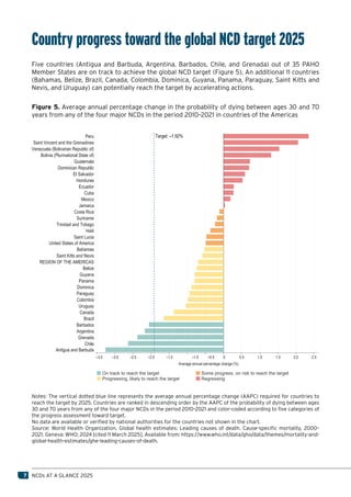 Bulize Target NCDs at a Glance 2025: Mortality and Risk Factors in the Americas | PDF