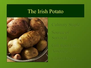 Culinary Staple Source of Survival Gift from Latin America Global Good The Irish Potato 