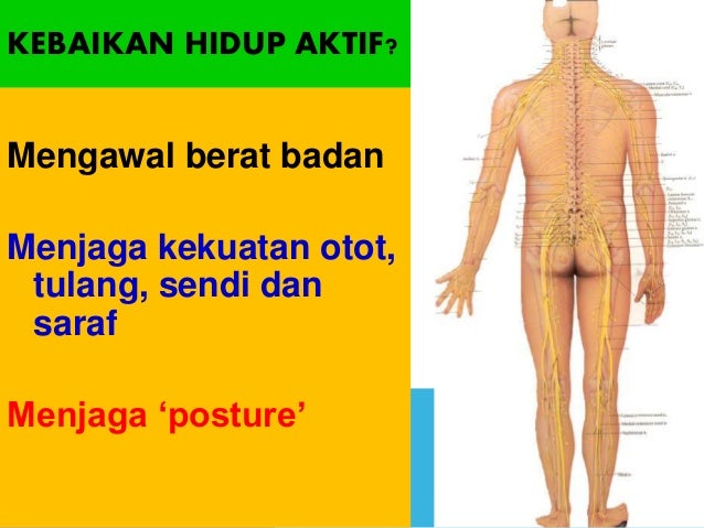 Gaya Hidup Sihat 73168467