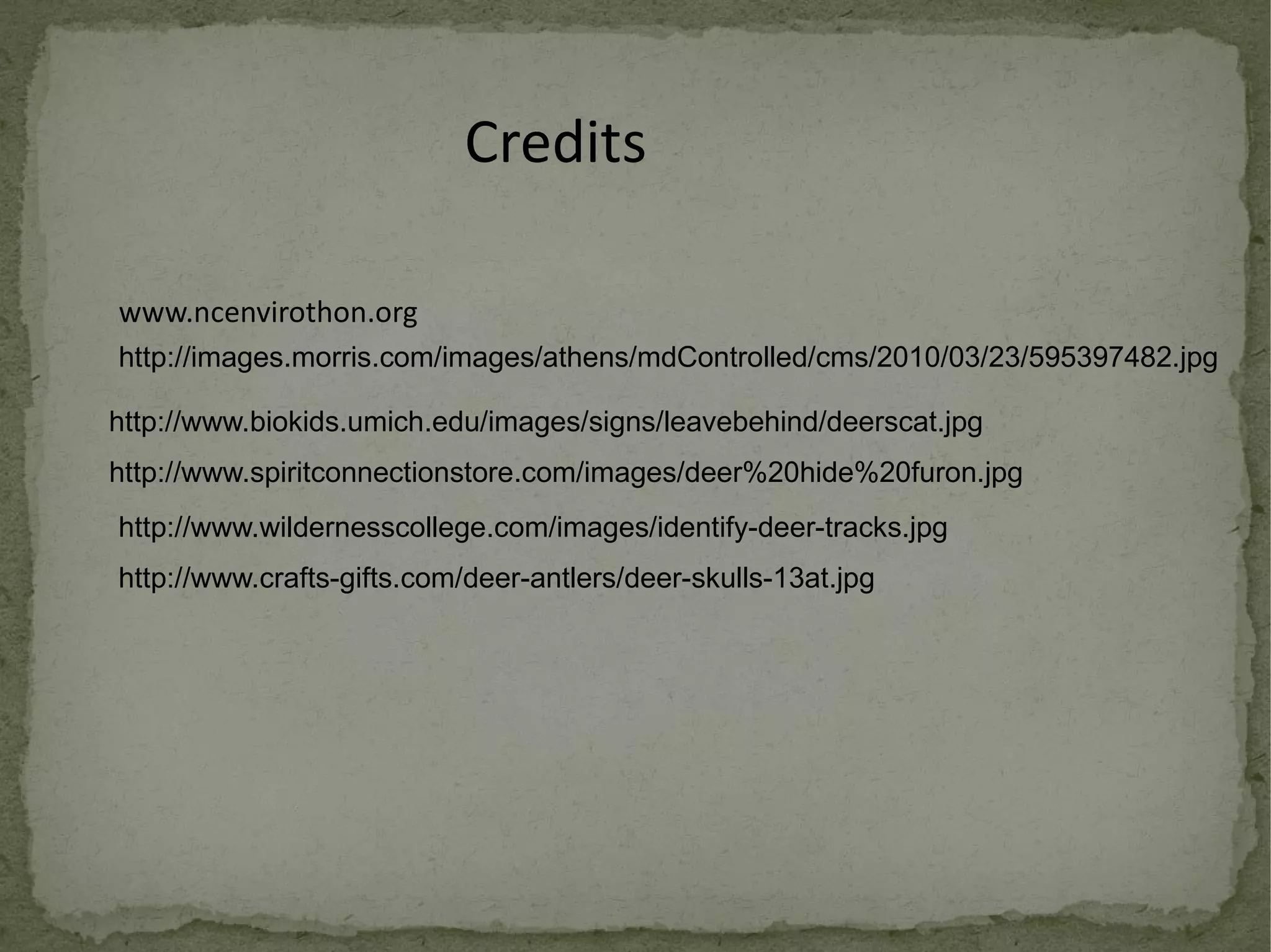 Credits http://images.morris.com/images/athens/mdControlled/cms/2010/03/23/595397482.jpg http://www.biokids.umich.edu/images/signs/leavebehind/deerscat.jpg http://www.wildernesscollege.com/images/identify-deer-tracks.jpg www.ncenvirothon.org http://www.spiritconnectionstore.com/images/deer%20hide%20furon.jpg http://www.crafts-gifts.com/deer-antlers/deer-skulls-13at.jpg 