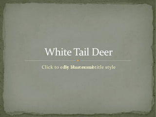 By Your name White Tail Deer 