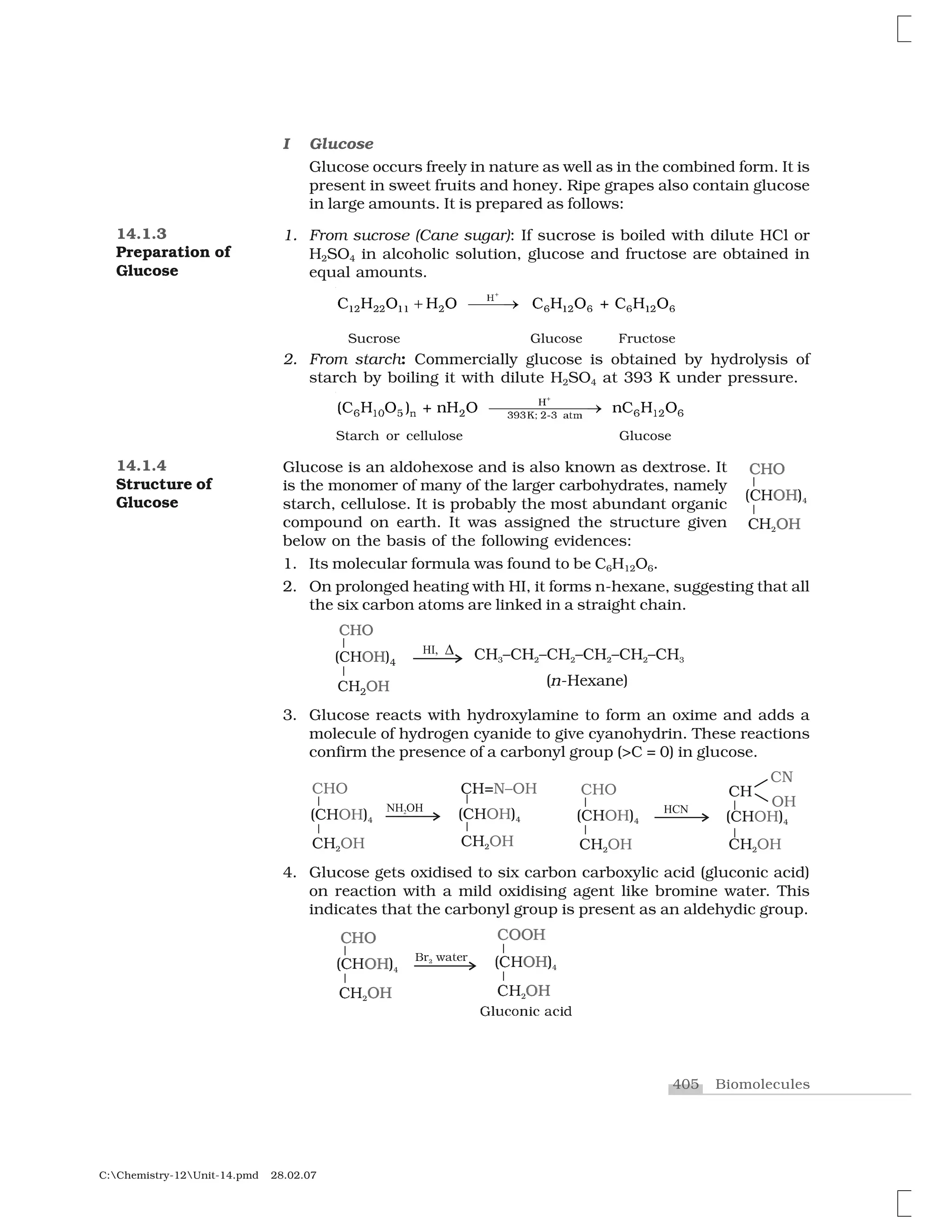 405 Biomolecules
C:Chemistry-12Unit-14.pmd 28.02.07
I Glucose
Glucose occurs freely in nature as well as in the combined form. It is
present in sweet fruits and honey. Ripe grapes also contain glucose
in large amounts. It is prepared as follows:
1. From sucrose (Cane sugar): If sucrose is boiled with dilute HCl or
H2SO4 in alcoholic solution, glucose and fructose are obtained in
equal amounts.
✰❍
✶     ✶✶   ✻ ✶  ✻ ✻ ✶  ✻❈ ✁ ❖ ✁ ❖ ❈ ✁ ❖ ✂ ❈ ✁ ❖✄ ☎☎☎✆
Sucrose Glucose Fructose
2. From starch: Commercially glucose is obtained by hydrolysis of
starch by boiling it with dilute H2SO4 at 393 K under pressure.
✝✞
✟ ✠✵ ✡ ♥ ✷ ✟ ✠✷ ✟✸☛✸❑❀ ✷☞✸ ✥t♠
✭✌ ✍ ✎ ✮ ✏ ✑✍ ✎ ✑✌ ✍ ✎✒✒✒✒✒✒✒✓
Starch or cellulose Glucose
Glucose is an aldohexose and is also known as dextrose. It
is the monomer of many of the larger carbohydrates, namely
starch, cellulose. It is probably the most abundant organic
compound on earth. It was assigned the structure given
below on the basis of the following evidences:
1. Its molecular formula was found to be C6H12O6.
2. On prolonged heating with HI, it forms n-hexane, suggesting that all
the six carbon atoms are linked in a straight chain.
3. Glucose reacts with hydroxylamine to form an oxime and adds a
molecule of hydrogen cyanide to give cyanohydrin. These reactions
confirm the presence of a carbonyl group (>C = 0) in glucose.
4. Glucose gets oxidised to six carbon carboxylic acid (gluconic acid)
on reaction with a mild oxidising agent like bromine water. This
indicates that the carbonyl group is present as an aldehydic group.
✔✕✖
✗✘✙ ✚✹✛✙ ✜✢✣ ✤✹✦✣
✧★✩✪★ ✫✬✩✯✬
❇✱ ✇✲✳✴✱✺
✼✽✽✾
●✿❁❂❃❄❅❂ ❆❂❅❉
❊❋■
❏▲▼ ◆€◗▼
❘❙❚❯❙
14.1.3
Preparation of
Glucose
14.1.4
Structure of
Glucose
 