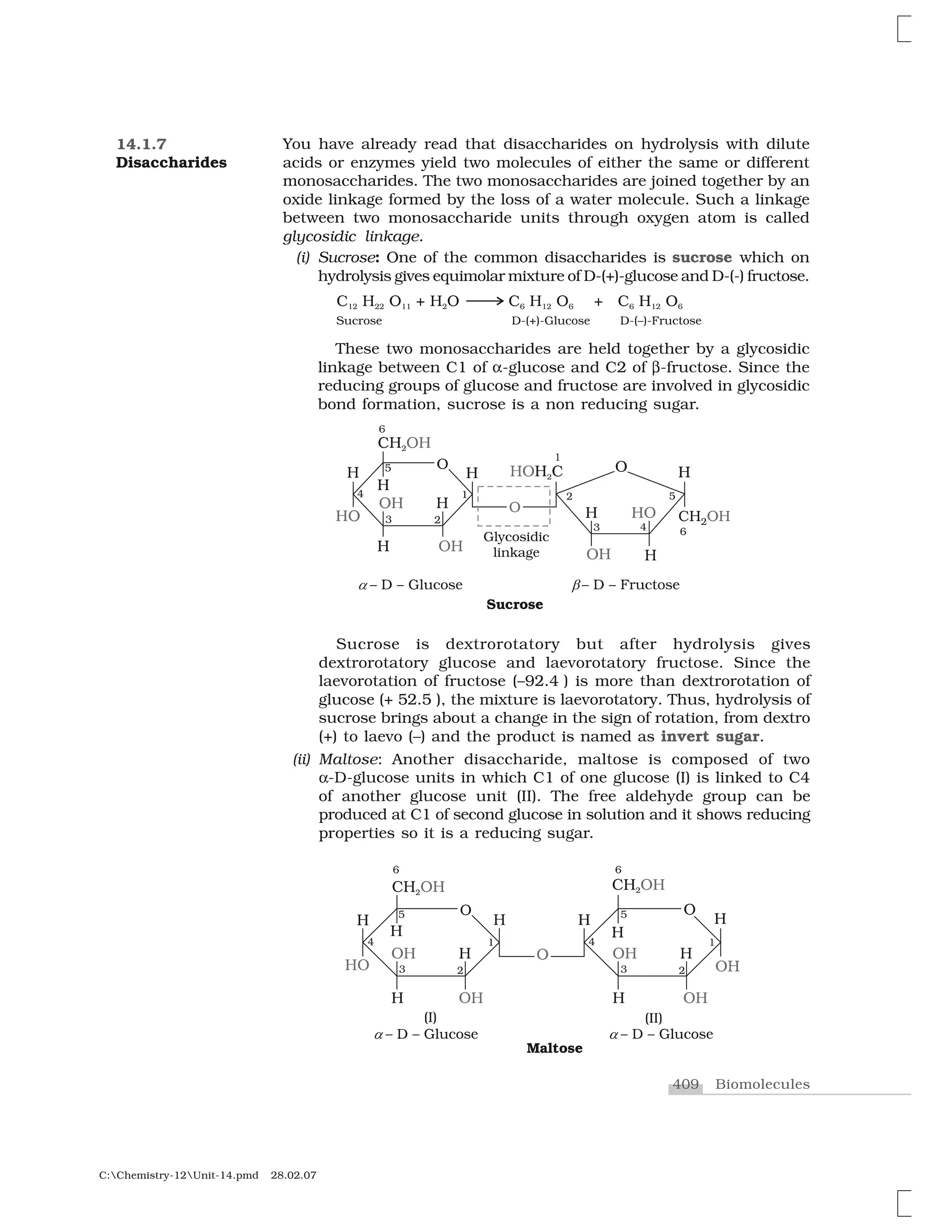 409 Biomolecules
C:Chemistry-12Unit-14.pmd 28.02.07
You have already read that disaccharides on hydrolysis with dilute
acids or enzymes yield two molecules of either the same or different
monosaccharides. The two monosaccharides are joined together by an
oxide linkage formed by the loss of a water molecule. Such a linkage
between two monosaccharide units through oxygen atom is called
glycosidic linkage.
(i) Sucrose: One of the common disaccharides is sucrose which on
hydrolysis gives equimolar mixture of D-(+)-glucose and D-(-) fructose.
These two monosaccharides are held together by a glycosidic
linkage between C1 of ✂-glucose and C2 of ✄-fructose. Since the
reducing groups of glucose and fructose are involved in glycosidic
bond formation, sucrose is a non reducing sugar.
14.1.7
Disaccharides
Sucrose is dextrorotatory but after hydrolysis gives
dextrorotatory glucose and laevorotatory fructose. Since the
laevorotation of fructose (–92.4 ) is more than dextrorotation of
glucose (+ 52.5 ), the mixture is laevorotatory. Thus, hydrolysis of
sucrose brings about a change in the sign of rotation, from dextro
(+) to laevo (–) and the product is named as invert sugar.
(ii) Maltose: Another disaccharide, maltose is composed of two
✂-D-glucose units in which C1 of one glucose (I) is linked to C4
of another glucose unit (II). The free aldehyde group can be
produced at C1 of second glucose in solution and it shows reducing
properties so it is a reducing sugar.
 