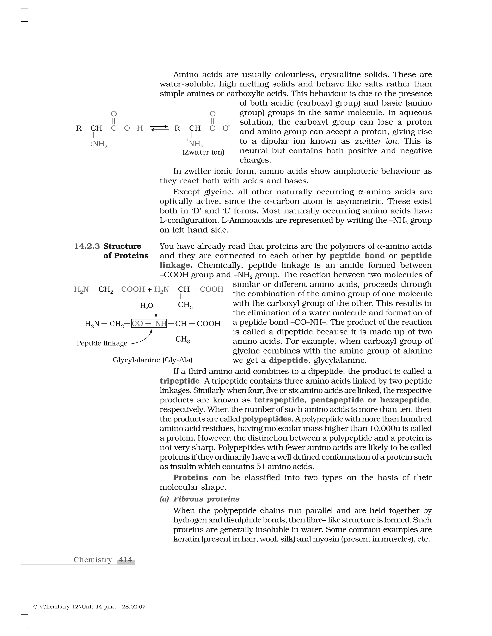 414Chemistry
C:Chemistry-12Unit-14.pmd 28.02.07
Amino acids are usually colourless, crystalline solids. These are
water-soluble, high melting solids and behave like salts rather than
simple amines or carboxylic acids. This behaviour is due to the presence
of both acidic (carboxyl group) and basic (amino
group) groups in the same molecule. In aqueous
solution, the carboxyl group can lose a proton
and amino group can accept a proton, giving rise
to a dipolar ion known as zwitter ion. This is
neutral but contains both positive and negative
charges.
In zwitter ionic form, amino acids show amphoteric behaviour as
they react both with acids and bases.
Except glycine, all other naturally occurring ✂-amino acids are
optically active, since the ✂-carbon atom is asymmetric. These exist
both in ‘D’ and ‘L’ forms. Most naturally occurring amino acids have
L-configuration. L-Aminoacids are represented by writing the –NH2 group
on left hand side.
You have already read that proteins are the polymers of ✂-amino acids
and they are connected to each other by peptide bond or peptide
linkage. Chemically, peptide linkage is an amide formed between
–COOH group and –NH2 group. The reaction between two molecules of
similar or different amino acids, proceeds through
the combination of the amino group of one molecule
with the carboxyl group of the other. This results in
the elimination of a water molecule and formation of
a peptide bond –CO–NH–. The product of the reaction
is called a dipeptide because it is made up of two
amino acids. For example, when carboxyl group of
glycine combines with the amino group of alanine
we get a dipeptide, glycylalanine.
If a third amino acid combines to a dipeptide, the product is called a
tripeptide. A tripeptide contains three amino acids linked by two peptide
linkages. Similarly when four, five or six amino acids are linked, the respective
products are known as tetrapeptide, pentapeptide or hexapeptide,
respectively. When the number of such amino acids is more than ten, then
the products are called polypeptides. A polypeptide with more than hundred
amino acid residues, having molecular mass higher than 10,000u is called
a protein. However, the distinction between a polypeptide and a protein is
not very sharp. Polypeptides with fewer amino acids are likely to be called
proteins if they ordinarily have a well defined conformation of a protein such
as insulin which contains 51 amino acids.
Proteins can be classified into two types on the basis of their
molecular shape.
(a) Fibrous proteins
When the polypeptide chains run parallel and are held together by
hydrogen and disulphide bonds, then fibre– like structure is formed. Such
proteins are generally insoluble in water. Some common examples are
keratin (present in hair, wool, silk) and myosin (present in muscles), etc.
14.2.3 Structure
of Proteins
 