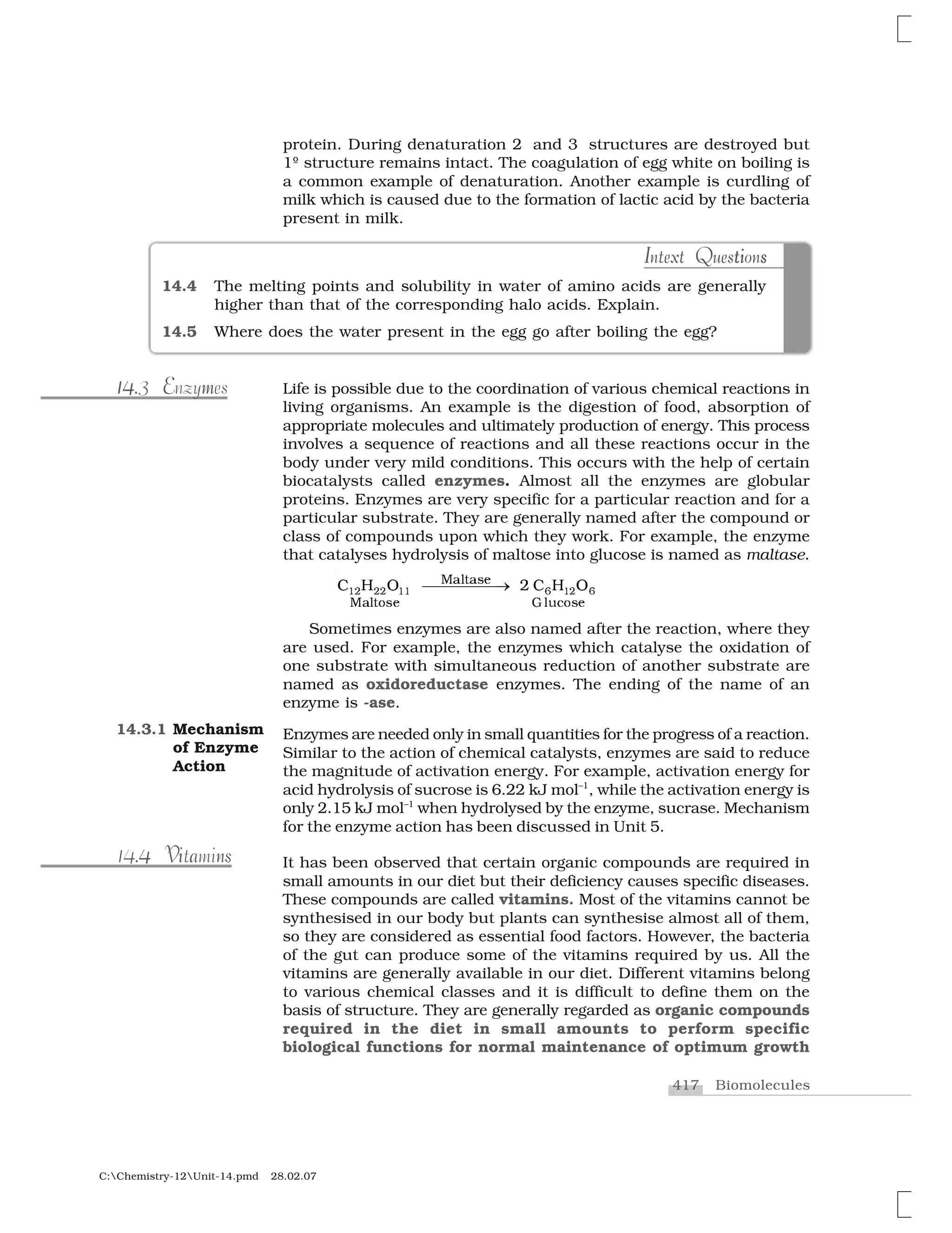417 Biomolecules
C:Chemistry-12Unit-14.pmd 28.02.07
protein. During denaturation 2 and 3 structures are destroyed but
1º structure remains intact. The coagulation of egg white on boiling is
a common example of denaturation. Another example is curdling of
milk which is caused due to the formation of lactic acid by the bacteria
present in milk.
I ti sIntext QuestionsI it sIntext Questions
14.4 The melting points and solubility in water of amino acids are generally
higher than that of the corresponding halo acids. Explain.
14.5 Where does the water present in the egg go after boiling the egg?
Life is possible due to the coordination of various chemical reactions in
living organisms. An example is the digestion of food, absorption of
appropriate molecules and ultimately production of energy. This process
involves a sequence of reactions and all these reactions occur in the
body under very mild conditions. This occurs with the help of certain
biocatalysts called enzymes. Almost all the enzymes are globular
proteins. Enzymes are very specific for a particular reaction and for a
particular substrate. They are generally named after the compound or
class of compounds upon which they work. For example, the enzyme
that catalyses hydrolysis of maltose into glucose is named as maltase.
✶     ✶✶ ✻ ✶  ✻
▼✁❧t✁s✂
▼✁❧t♦s✂ ●❧✉✄♦s✂
❈ ☎ ❖ ✷ ❈ ☎ ❖✆✆✆✆✆✝
Sometimes enzymes are also named after the reaction, where they
are used. For example, the enzymes which catalyse the oxidation of
one substrate with simultaneous reduction of another substrate are
named as oxidoreductase enzymes. The ending of the name of an
enzyme is -ase.
Enzymes are needed only in small quantities for the progress of a reaction.
Similar to the action of chemical catalysts, enzymes are said to reduce
the magnitude of activation energy. For example, activation energy for
acid hydrolysis of sucrose is 6.22 kJ mol–1
, while the activation energy is
only 2.15 kJ mol–1
when hydrolysed by the enzyme, sucrase. Mechanism
for the enzyme action has been discussed in Unit 5.
It has been observed that certain organic compounds are required in
small amounts in our diet but their deficiency causes specific diseases.
These compounds are called vitamins. Most of the vitamins cannot be
synthesised in our body but plants can synthesise almost all of them,
so they are considered as essential food factors. However, the bacteria
of the gut can produce some of the vitamins required by us. All the
vitamins are generally available in our diet. Different vitamins belong
to various chemical classes and it is difficult to define them on the
basis of structure. They are generally regarded as organic compounds
required in the diet in small amounts to perform specific
biological functions for normal maintenance of optimum growth
14.3.1 Mechanism
of Enzyme
Action
a n4 Vi s14.4 Vitamins
E m1414.3 Enzymes
 