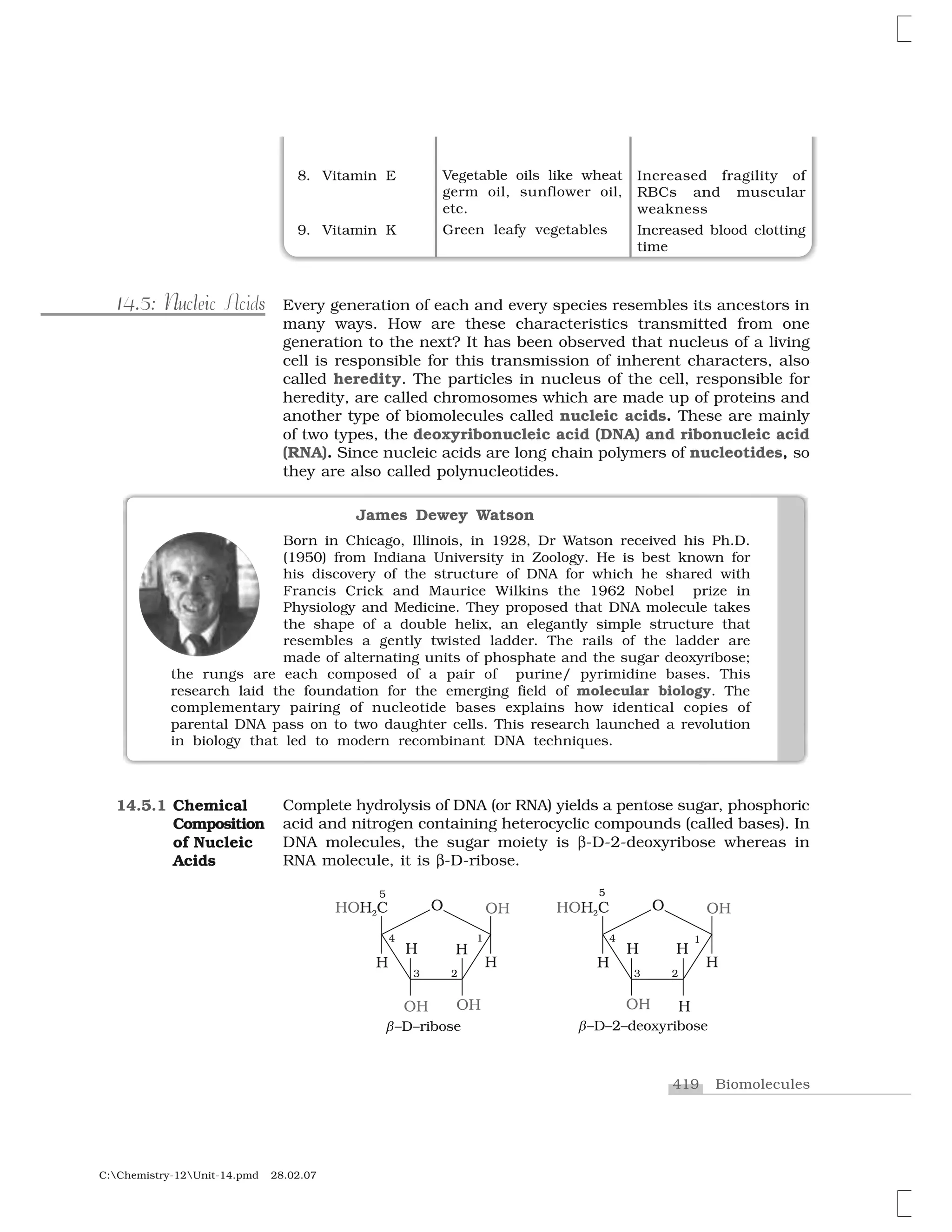 419 Biomolecules
C:Chemistry-12Unit-14.pmd 28.02.07
8. Vitamin E
9. Vitamin K
Vegetable oils like wheat
germ oil, sunflower oil,
etc.
Green leafy vegetables
Increased fragility of
RBCs and muscular
weakness
Increased blood clotting
time
Every generation of each and every species resembles its ancestors in
many ways. How are these characteristics transmitted from one
generation to the next? It has been observed that nucleus of a living
cell is responsible for this transmission of inherent characters, also
called heredity. The particles in nucleus of the cell, responsible for
heredity, are called chromosomes which are made up of proteins and
another type of biomolecules called nucleic acids. These are mainly
of two types, the deoxyribonucleic acid (DNA) and ribonucleic acid
(RNA). Since nucleic acids are long chain polymers of nucleotides, so
they are also called polynucleotides.
.5114.5: Nu l i sNucleic Acids
James Dewey Watson
Born in Chicago, Illinois, in 1928, Dr Watson received his Ph.D.
(1950) from Indiana University in Zoology. He is best known for
his discovery of the structure of DNA for which he shared with
Francis Crick and Maurice Wilkins the 1962 Nobel prize in
Physiology and Medicine. They proposed that DNA molecule takes
the shape of a double helix, an elegantly simple structure that
resembles a gently twisted ladder. The rails of the ladder are
made of alternating units of phosphate and the sugar deoxyribose;
the rungs are each composed of a pair of purine/ pyrimidine bases. This
research laid the foundation for the emerging field of molecular biology. The
complementary pairing of nucleotide bases explains how identical copies of
parental DNA pass on to two daughter cells. This research launched a revolution
in biology that led to modern recombinant DNA techniques.
Complete hydrolysis of DNA (or RNA) yields a pentose sugar, phosphoric
acid and nitrogen containing heterocyclic compounds (called bases). In
DNA molecules, the sugar moiety is ✄-D-2-deoxyribose whereas in
RNA molecule, it is ✄-D-ribose.
14.5.1 Chemical
Composition
of Nucleic
Acids
 