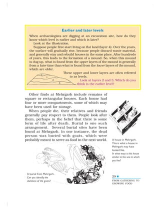 29
Earlier and later levels
When archaeologists are digging at an excavation site, how do they
know which level is earlier and which is later?
Look at the illustration.
Suppose people first start living on flat land (layer 4). Over the years,
the surface will gradually rise, because people discard waste material,
and generally stay and rebuild houses in the same place. After hundreds
of years, this leads to the formation of a mound. So, when this mound
is dug up, what is found from the upper layers of the mound is generally
from a later time than what is found from the lower layers of the mound,
which are older.
These upper and lower layers are often referred
to as levels.
Look at layers 2 and 3. Which do you
think is the earlier level?
A house in Mehrgarh.
This is what a house in
Mehrgarh may have
looked like.
In what ways is this house
similar to the one in which
you live?
Other finds at Mehrgarh include remains of
square or rectangular houses. Each house had
four or more compartments, some of which may
have been used for storage.
When people die, their relatives and friends
generally pay respect to them. People look after
them, perhaps in the belief that there is some
form of life after death. Burial is one such
arrangement. Several burial sites have been
found at Mehrgarh. In one instance, the dead
person was buried with goats, which were
probably meant to serve as food in the next world.
FROM GATHERING TO
GROWING FOOD
A burial from Mehrgarh.
Can you identify the
skeletons of the goats?
 