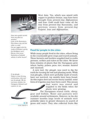 38
OUR PASTS–I
How were goods carried
from one place to
another?
Look at the illustrations.
One shows a toy and the
other is a seal.
Can you suggest what the
modes of transport used by
the Harappans were?
Did you come across
illustrations of wheeled
vehicles in earlier lessons?
West Asia. Tin, which was mixed with
copper to produce bronze, may have been
brought from present-day Afghanistan
and Iran. Gold could have come all the
way from present-day Karnataka, and
precious stones from present-day
Gujarat, Iran and Afghanistan.
Food for people in the cities
While many people lived in the cities, others living
in the countryside grew crops and reared animals.
These farmers and herders supplied food to crafts
persons, scribes and rulers in the cities. We know
from remains of plants that the Harappans grew
wheat, barley, pulses, peas, rice, sesame, linseed
and mustard.
A new tool, the plough, was used to dig the
earth for turning the soil and planting seeds. While
real ploughs, which were probably made of wood,
have not survived, toy models have been found.
As this region does not receive heavy rainfall, some
form of irrigation may have been used. This means
that water was stored and
supplied to the fields when the
plants were growing.
The Harappans reared cattle, sheep,
goat and buffalo. Water and pastures were
available around settlements. However, in the dry
summer months large herds of animals were
probably taken to greater distances in search of
grass and water. They also collected fruits like
A toy plough.
Today, in many farming
communities, only men
use the plough. We do
not know whether the
Harappans followed such
customs or not.
 