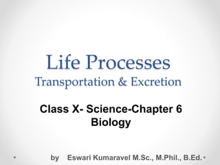 Life Processes
Transportation & Excretion
Class X- Science-Chapter 6
Biology
by Eswari Kumaravel M.Sc., M.Phil., B.Ed.
 