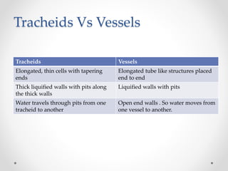 Tracheids Vs Vessels
Tracheids Vessels
Elongated, thin cells with tapering
ends
Elongated tube like structures placed
end to end
Thick liquified walls with pits along
the thick walls
Liquified walls with pits
Water travels through pits from one
tracheid to another
Open end walls . So water moves from
one vessel to another.
 