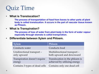 Quiz Time
• What is Translocation?
The process of transportation of food from leaves to other parts of plant
body is called translocation. It occurs in the part of vascular tissue known
as Phloem.
• What is Transpiration?
The process of loss of water from plant body in the form of water vapour
especially through stomata is called transpiration.
• Differentiate between Xylem and Phloem.
Xylem Phloem
Conducts water Conducts food
Unidirectional transport –
only upward
Multidirectional transport –
both upward and downward
Transpiration doesn’t require
energy
Translocation in the phloem is
achieved by utilizing energy
Contains 3 types of dead cells Contains only one dead cell
 