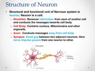 Structure of Neuron
• Structural and functional unit of Nervous system is
neuron. Neuron is a cell.
o Dendrites: Receives information from axon of another cell
and conducts the messages towards cell body.
o Cell Body: Contains nucleus, Mitochondria and other
organelle.
o Axon: Conducts messages away from cell body
o Synapse: Small gap between two adjacent neurons. Here
nerve impulse passes from one neuron to other.
 