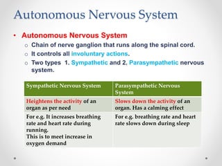 Autonomous Nervous System
• Autonomous Nervous System
o Chain of nerve ganglion that runs along the spinal cord.
o It controls all involuntary actions.
o Two types 1. Sympathetic and 2. Parasympathetic nervous
system.
Sympathetic Nervous System Parasympathetic Nervous
System
Heightens the activity of an
organ as per need
Slows down the activity of an
organ. Has a calming effect
For e.g. It increases breathing
rate and heart rate during
running.
This is to meet increase in
oxygen demand
For e.g. breathing rate and heart
rate slows down during sleep
 