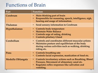 Functions of Brain
Part Function
Cerebrum • Main thinking part of brain
• Responsible for reasoning, speech, intelligence, sigh,
hearing and usage of information.
Thalamus • Send sensory information to Cerebrum
Hypothalamus • Controls body temperature
• Maintain Water Balance
• Controls urge of eating, drinking
• Controls pituitary Gland
Cerebellum • Controls and coordinates different muscular actions
• Maintains posture and equilibrium of the body
during various activities such as walking, drinking
riding etc.
Pons • Controls breathing rate
• Controls facial expression, mastication of food etc.
Medulla Oblangata • Controls involuntary actions such as Breathing, Blood
Pressure, Movement of alimentary canal etc.
• Regulates reflex responses like salivation and
vomiting.
 