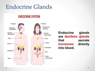 Endocrine Glands
• Endocrine glands
are ductless glands
that secrete
hormones directly
into blood.
 