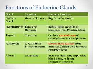 Functions of Endocrine Glands
Gland Secretion Hormone Function
Pituitary
Gland
Growth Hormone Regulates the growth
Hypothalamus Releasing
Hormone
Regulates the secretion of
hormones from Pituitary Gland
Thyroid Thyroxine Controls metabolic rate of
carbohydrates, fats and proteins
Parathyroid a. Calcitonin
b. Parathormone
Lowers blood calcium level
Increases Calcium and decreases
Phosphate level
Adrenal Adrenaline Increases Heart rate, respiration,
blood pressure during
emergency situations.
 
