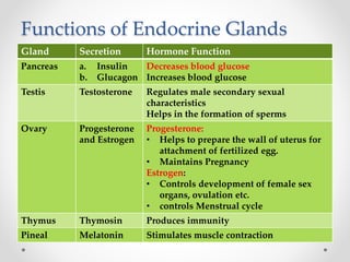 Functions of Endocrine Glands
Gland Secretion Hormone Function
Pancreas a. Insulin
b. Glucagon
Decreases blood glucose
Increases blood glucose
Testis Testosterone Regulates male secondary sexual
characteristics
Helps in the formation of sperms
Ovary Progesterone
and Estrogen
Progesterone:
• Helps to prepare the wall of uterus for
attachment of fertilized egg.
• Maintains Pregnancy
Estrogen:
• Controls development of female sex
organs, ovulation etc.
• controls Menstrual cycle
Thymus Thymosin Produces immunity
Pineal Melatonin Stimulates muscle contraction
 