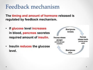 Feedback mechanism
The timing and amount of hormone released is
regulated by feedback mechanism.
• If glucose level increases
in blood, pancreas secretes
required amount of insulin.
• Insulin reduces the glucose
level.
 
