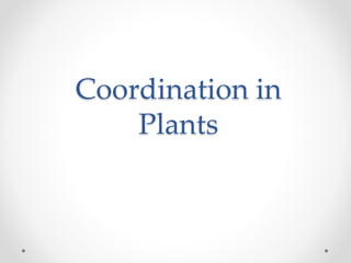 Coordination in
Plants
 