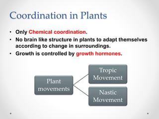 Coordination in Plants
• Only Chemical coordination.
• No brain like structure in plants to adapt themselves
according to change in surroundings.
• Growth is controlled by growth hormones.
Plant
movements
Tropic
Movement
Nastic
Movement
 