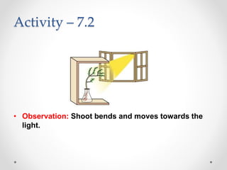 Activity – 7.2
• Observation: Shoot bends and moves towards the
light.
 