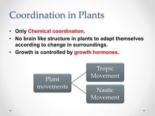 Coordination in Plants
• Only Chemical coordination.
• No brain like structure in plants to adapt themselves
according to ...