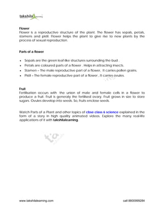NCERT & CBSE For Class 6 Science Parts of a plant Chapter – 7.pdf