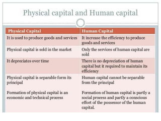Ncert chapter 5 notes.pptx