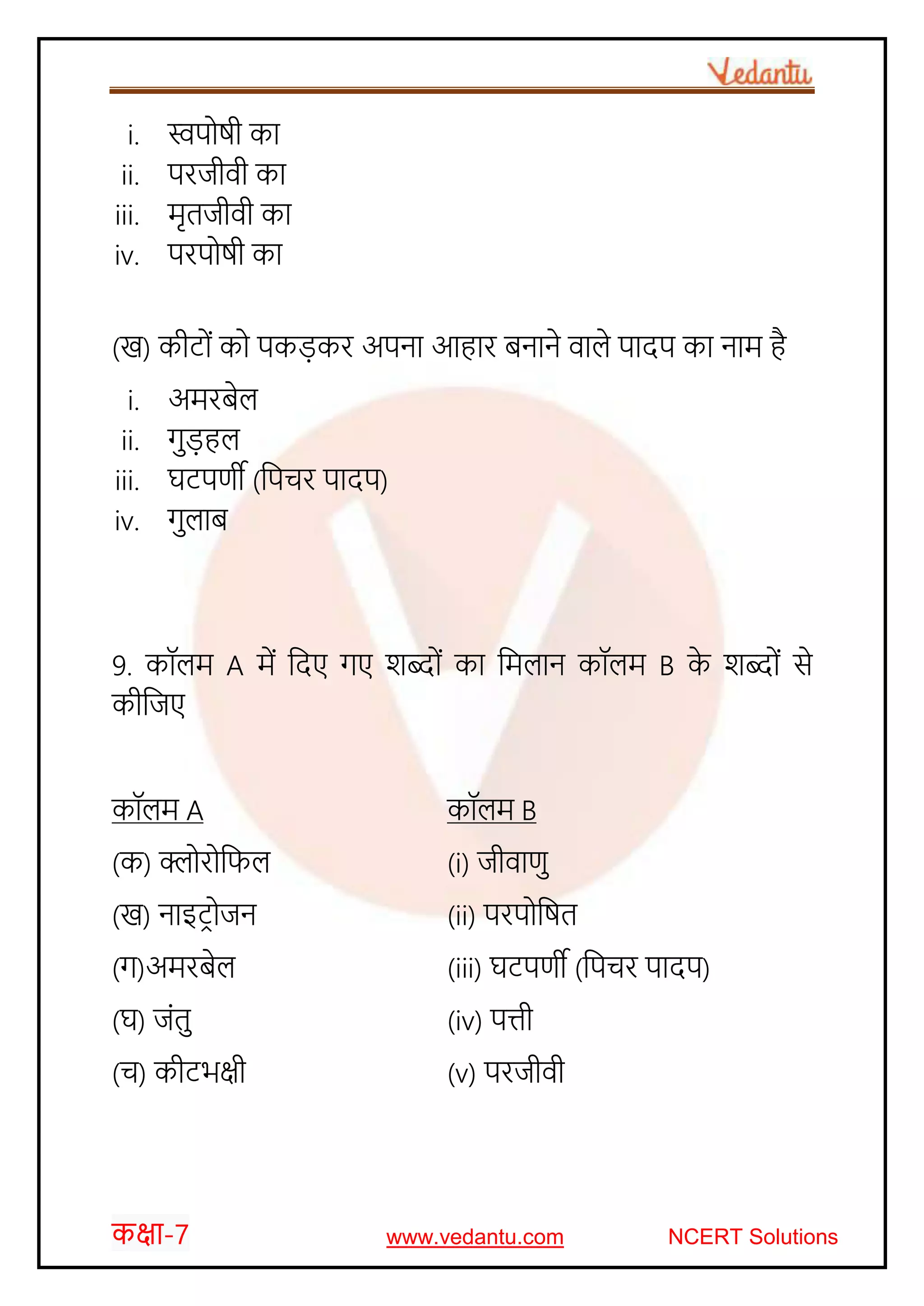 कक्षा-7 www.vedantu.com NCERT Solutions
i. स्वप षी का
ii. परजीवी का
iii. मृतजीवी का
iv. परप षी का
(ख) कीट ों क पकड़कर अपना आहार बनाने वाले पादप का नाम है
i. अमरबेल
ii. गुड़हल
iii. घटपणी (जपर्र पादप)
iv. गुलाब
9. कॉलम A में जदए गए र्ब्द ों का जमलान कॉलम B के र्ब्द ों से
कीजजए
कॉलम A कॉलम B
(क) क्ल र जिल (i) जीवाणु
(ख) नाइटर जन (ii) परप जषत
(ग)अमरबेल (iii) घटपणी (जपर्र पादप)
(घ) जोंतु (iv) पत्ती
(र्) कीटभक्षी (v) परजीवी
 