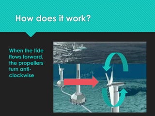 How does it work?
When the tide
flows forward,
the propellers
turn anti-
clockwise
 