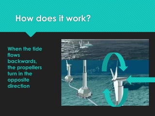 How does it work?
When the tide
flows
backwards,
the propellers
turn in the
opposite
direction
 